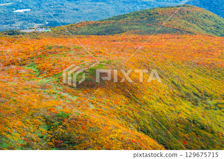 栗駒山（神的地毯）的紅葉 129675715