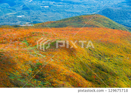 Autumn leaves on Mount Kurikoma (God's Carpet) 129675718