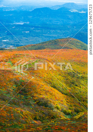 Autumn leaves on Mount Kurikoma (God's Carpet) Autumn leaves on Mount Kurikoma (God's Carpet) 129675723