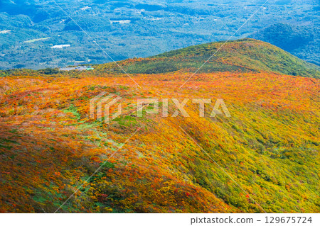 栗駒山（神的地毯）的紅葉 129675724