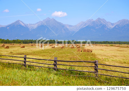 Haystacks with straw in an agricultural field. Picturesque rural landscape, mountains, blue sky. Haystacks with straw in an agricultural field. Picturesque rural landscape, mountains, blue sky. 129675750