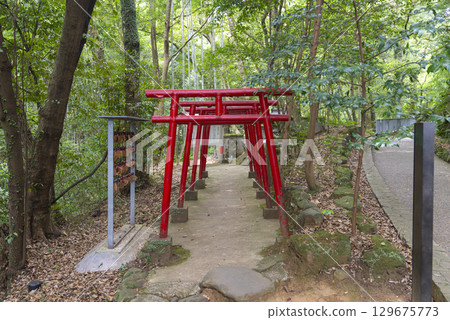 Tanukifuku Shrine in Yugawara 129675773