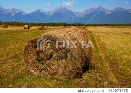 A haystack with straw in an agricultural field. Rural landscape. In the background there are picturesque mountains. 129675778