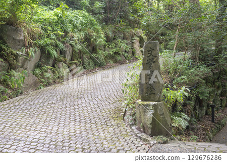 Yugawara Literary Path Yugawara Literary Path 129676286