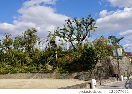 從JR伊丹站前的連接橋上眺望有岡城跡(伊丹城跡),欣賞秋葉紛飛的景象。兵庫縣伊丹市伊丹市 從JR伊丹站前的連接橋上眺望有岡城跡(伊丹城跡),欣賞秋葉紛飛的景象。兵庫縣伊丹市伊丹市 129677621