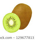 Kiwi fruit illustration 129677813