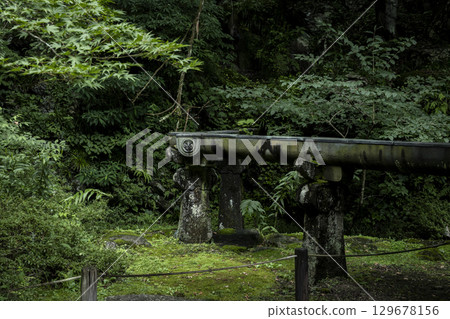 Summer Nikko - Nikkosan Rinnoji Temple Taiyuin 129678156
