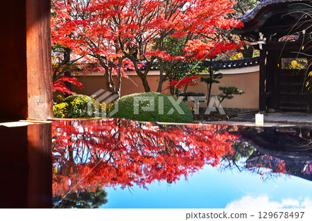 京都妙見寺 - 京都著名的紅葉景點 - 京都旅遊景點 - 紫禁城小豆園與楓樹 129678497