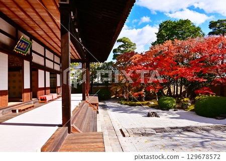 Kyoto Myokenji Temple - Kyoto's famous autumn foliage spot - Autumn foliage and Japanese garden - Kyoto tourist spot - Shikai Shodo Garden and maple trees 129678572