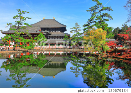 [Nara Prefecture] Symmetrical Todaiji Temple and autumn leaves (Great Buddha Hall and Inner Gate) 129679184