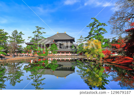 [Nara Prefecture] Symmetrical Todaiji Temple and autumn leaves (Great Buddha Hall and Inner Gate) 129679187