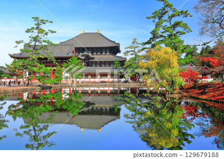 [Nara Prefecture] Symmetrical Todaiji Temple and autumn leaves (Great Buddha Hall and Inner Gate) 129679188