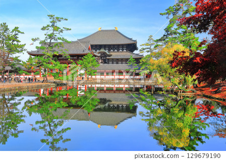 [Nara Prefecture] Symmetrical Todaiji Temple and autumn leaves (Great Buddha Hall and Inner Gate) 129679190