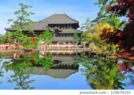 [Nara Prefecture] Symmetrical Todaiji Temple and autumn leaves (Great Buddha Hall and Inner Gate) 129679191