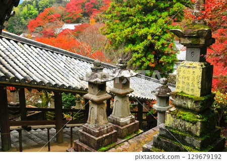 [Nara Prefecture] Hasedera Temple's climbing corridor and autumn leaves 129679192
