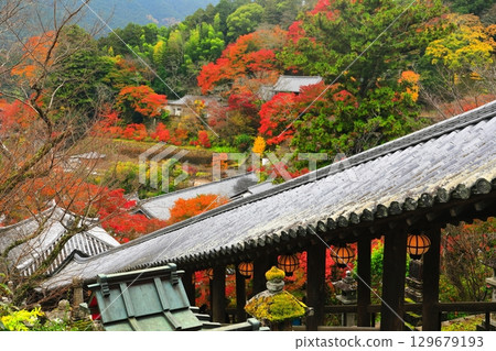 【奈良縣】長谷寺的迴廊與紅葉 129679193