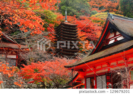 [奈良縣]談山神社的秋葉（十三層寶塔和神社） 129679201