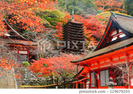 [Nara Prefecture] Autumn leaves of Tanzan Shrine (thirteen-storied pagoda and shrine) 129679203