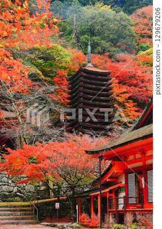 [Nara Prefecture] Autumn leaves of Tanzan Shrine (thirteen-storied pagoda and shrine) 129679206