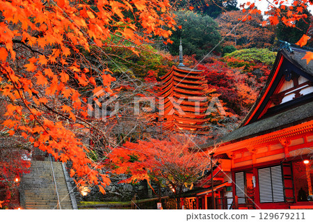 [Nara Prefecture] Autumn leaves light up at Tanzan Shrine (thirteen-storied pagoda and shrine worship place) 129679211