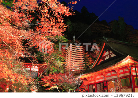 [奈良縣]談山神社（十三層寶塔和神社崇拜場所）的秋葉點亮 129679213