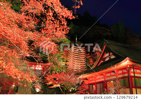 [奈良縣]談山神社（十三層寶塔和神社崇拜場所）的秋葉點亮 129679214