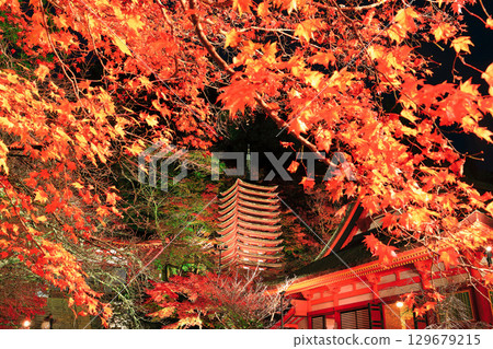 [Nara Prefecture] Autumn leaves light up at Tanzan Shrine (thirteen-storied pagoda) 129679215