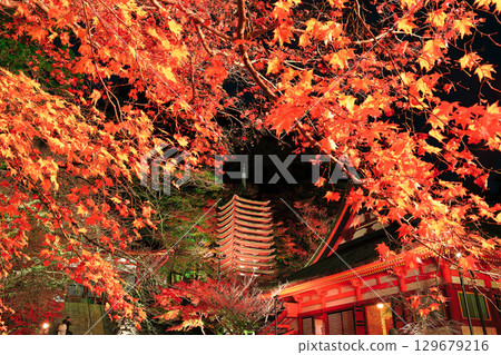 [奈良縣]談山神社（十三層寶塔）的紅葉點亮 129679216