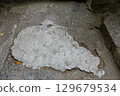 Onomichi, Mount Senkoji, Cat's Narrow Path 129679534