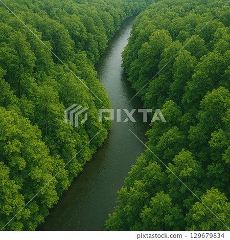 山間溪流閃耀著新鮮的綠色 山間溪流閃耀著新鮮的綠色 129679834