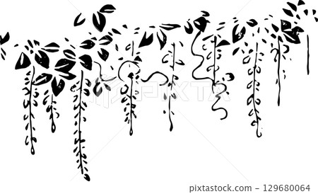 紫藤花 紫藤花 129680064