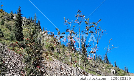 Amazing Mountains In The Autumn Amazing Mountains In The Autumn 129680339