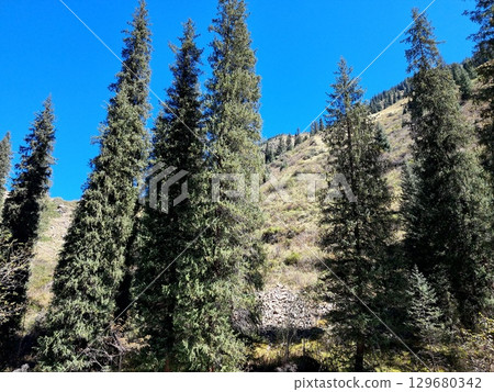 Beautiful mountain landscape. Nature background. Beautiful mountain landscape. Nature background. 129680342