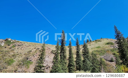 Beautiful Landscape With Trees In The Mountains 129680887