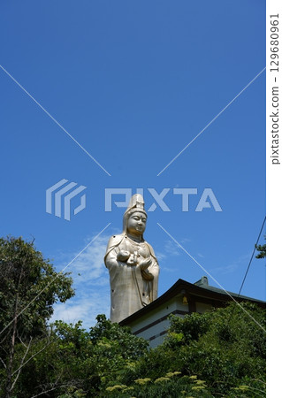 加賀觀音 129680961