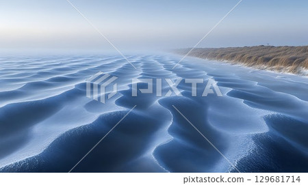 Serene Winter Seascape: Frost-Covered Waves Meet Coastal Grasses 129681714