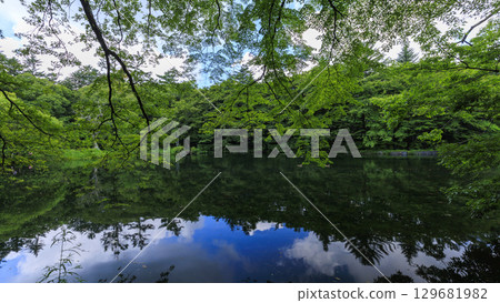 長野縣輕井澤市的雲場池,綠樹環繞 長野縣輕井澤市的雲場池,綠樹環繞 129681982