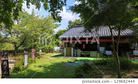 Summer at the nostalgic garden known as Anaguma Castle (Komoro Castle ruins) 129682444