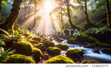A valley view with sunlight filtering through the trees in the morning mist 129682474