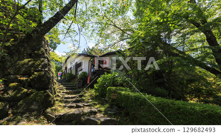 Summer at the nostalgic garden known as Anaguma Castle (Komoro Castle ruins) 129682493