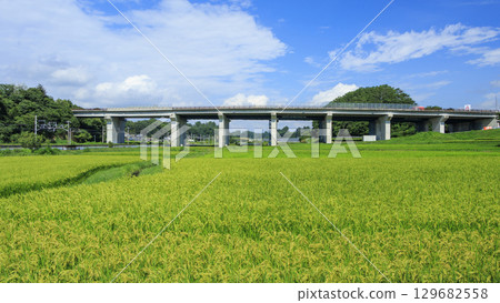 信濃鐵道平原站 129682558