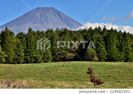 從靜岡縣朝霧高原眺望的富士山 從靜岡縣朝霧高原眺望的富士山 129682591