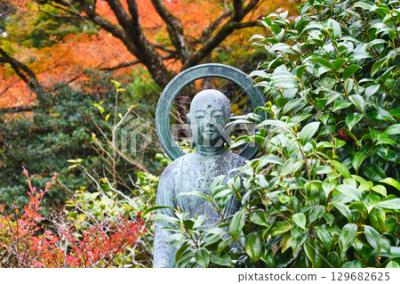 大原實光院舊立覺院庭園的美麗秋葉(京都府京都市左京區) 大原實光院舊立覺院庭園的美麗秋葉(京都府京都市左京區) 129682625