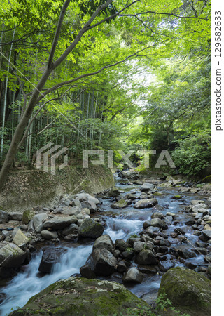 [Vertical photo] Chitose River in Yugawara 129682633