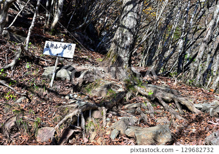 天子山脈，日本二百名山之一的毛無山，毛無山路線，八合目 129682732