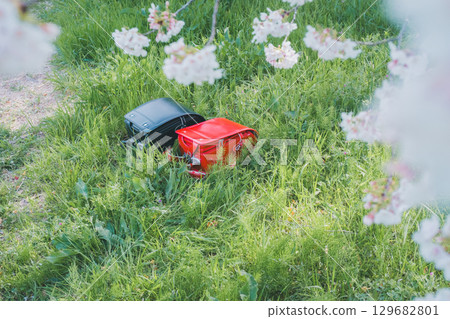 School bag with cherry blossoms School bag with cherry blossoms 129682801