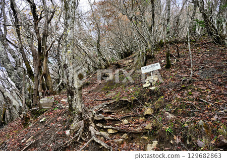 Mount Kenashi in the Tenshi Mountains, Mount Kenashi Route, 9th Station 129682863