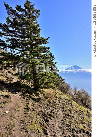 Mount Fuji as seen from the Tenshi Mountains traverse route of Mount Kenashi Mount Fuji as seen from the Tenshi Mountains traverse route of Mount Kenashi 129682888