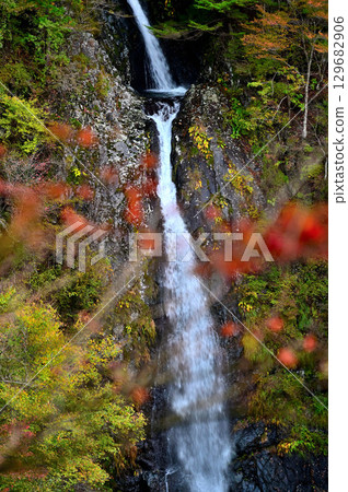 Mount Kenashi in the Tenshi Mountains, Mount Kenashi Route, Fudo Falls draped in autumn leaves as seen from the Fudo Falls Observation Deck 129682906