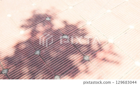 Abstract shadow of a tree cast on a patterned, tiled walkway, creating a unique texture and design	 129683044